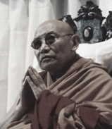 Trulshik Rinpoche