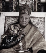 Dilgo Khyentse Rinpoche